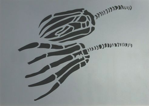 2 Seelilien A4 21x29,7 cm